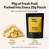 Wild & Crisp Banana Crunch — freeze-dried
