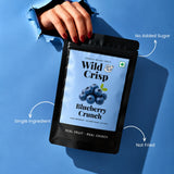 Wild & Crisp Blueberry Crunch: single ingredient, no added sugar, not fried