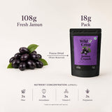 Wild & Crisp Jamun Crunch — freeze-dried